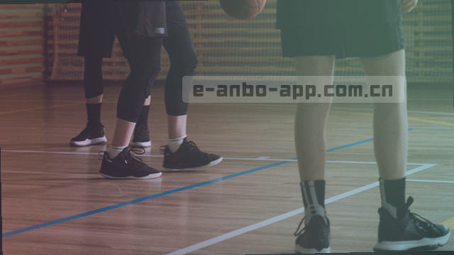 服务覆盖区域统计
技术支援响应范围